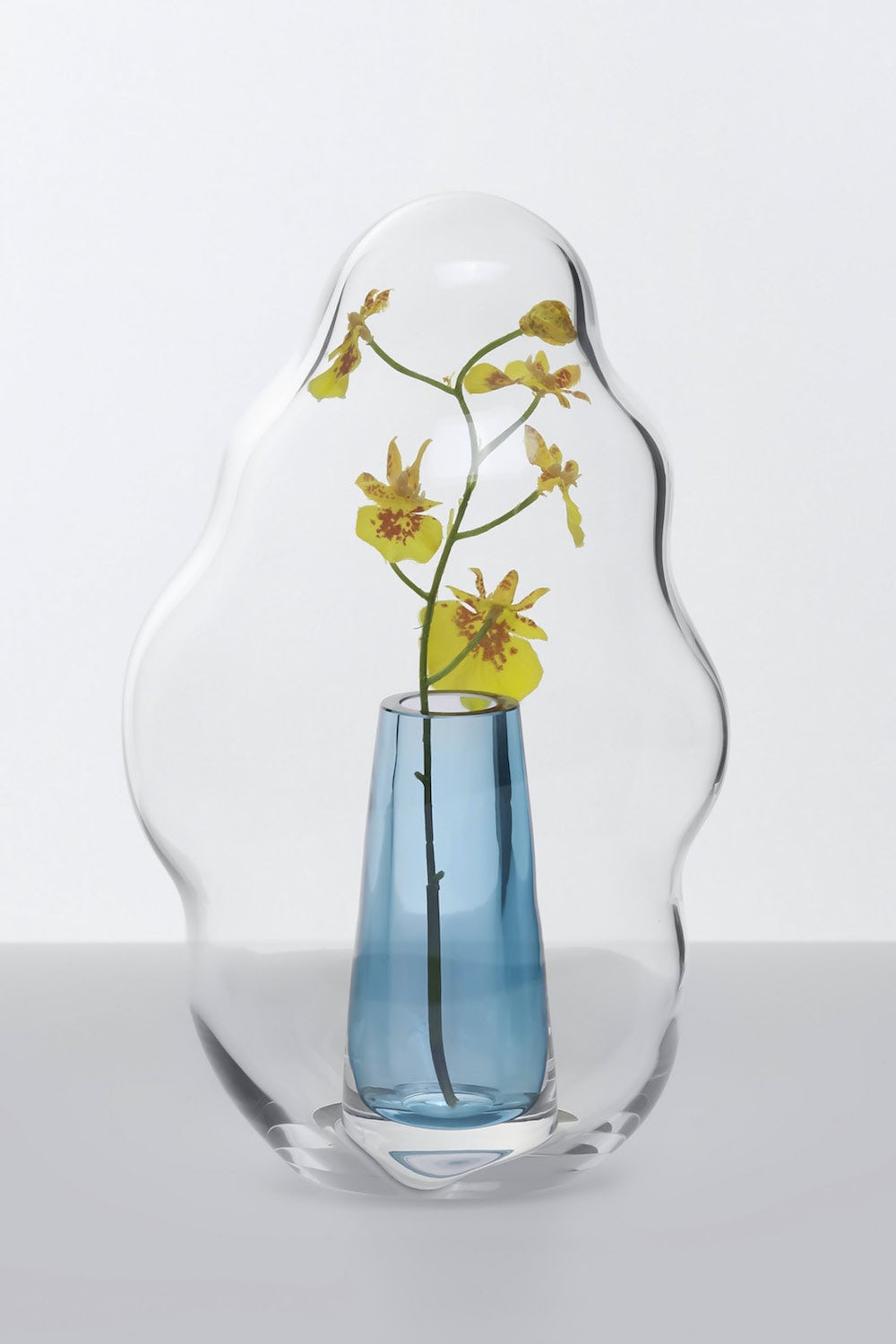 flower，vase，Art，Bubble，