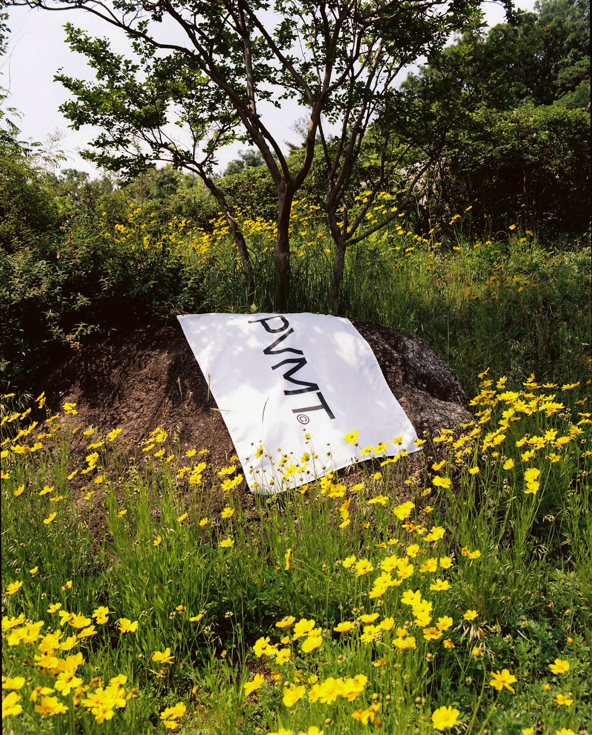 Flowerpot，Botany，natural，Graphic Artist Designer，Brand promotion，concept，