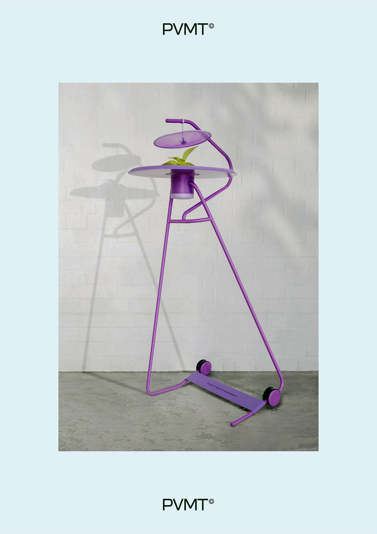 Flowerpot，Botany，natural，Graphic Artist Designer，Brand promotion，concept，