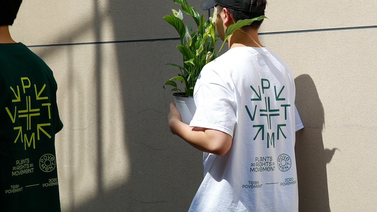 Flowerpot，Botany，natural，Graphic Artist Designer，Brand promotion，concept，