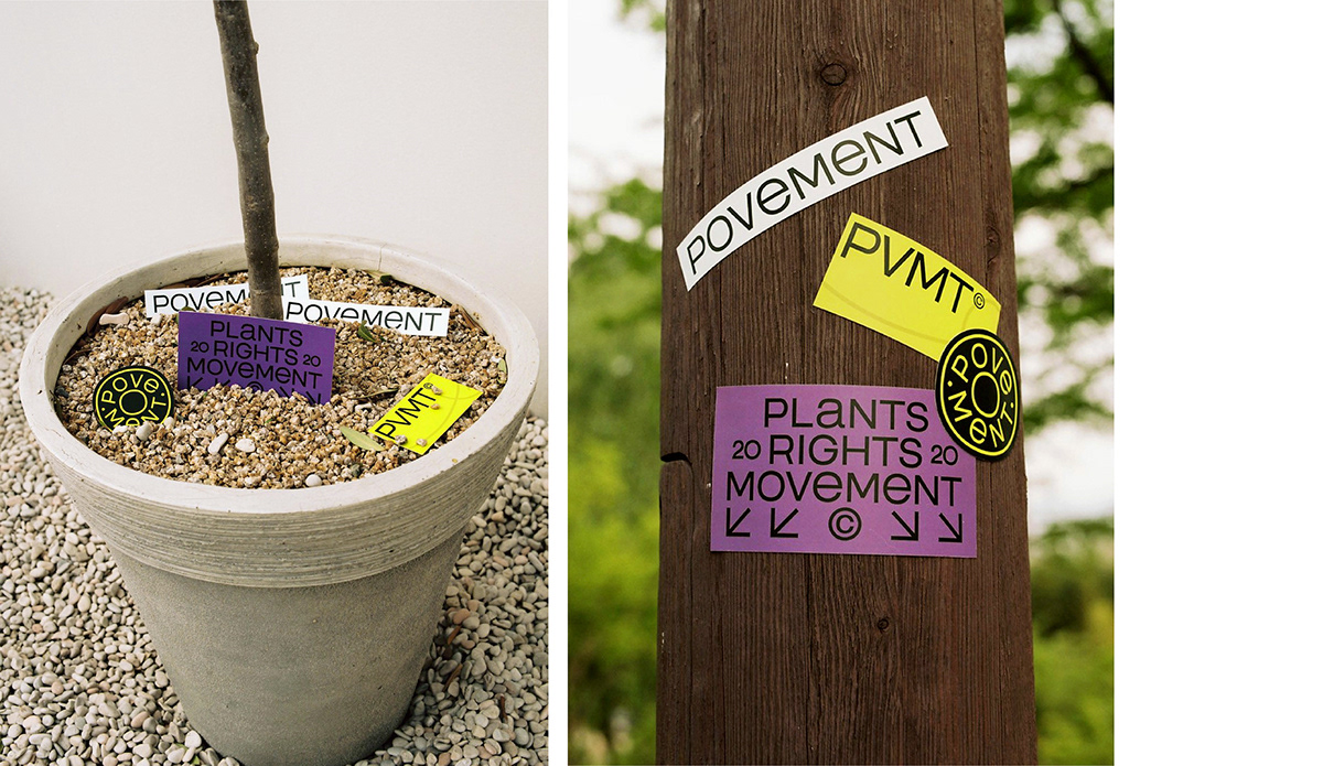 Flowerpot，Botany，natural，Graphic Artist Designer，Brand promotion，concept，