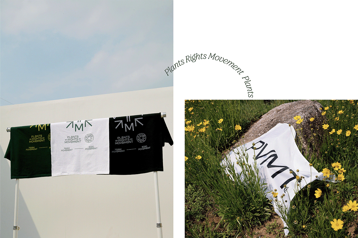 Flowerpot，Botany，natural，Graphic Artist Designer，Brand promotion，concept，