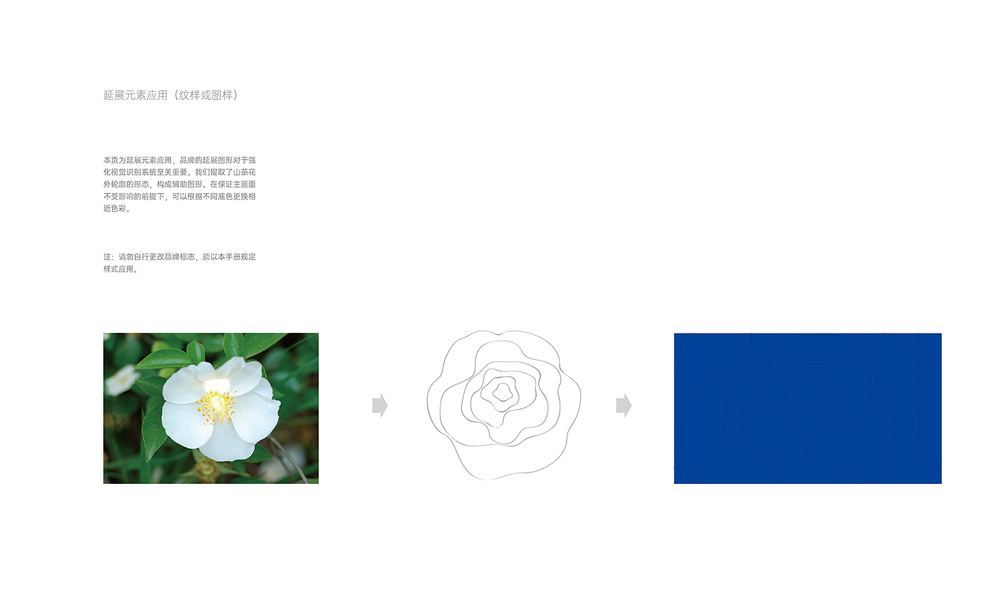 Camellia oil packaging design, camellia oil brand design，