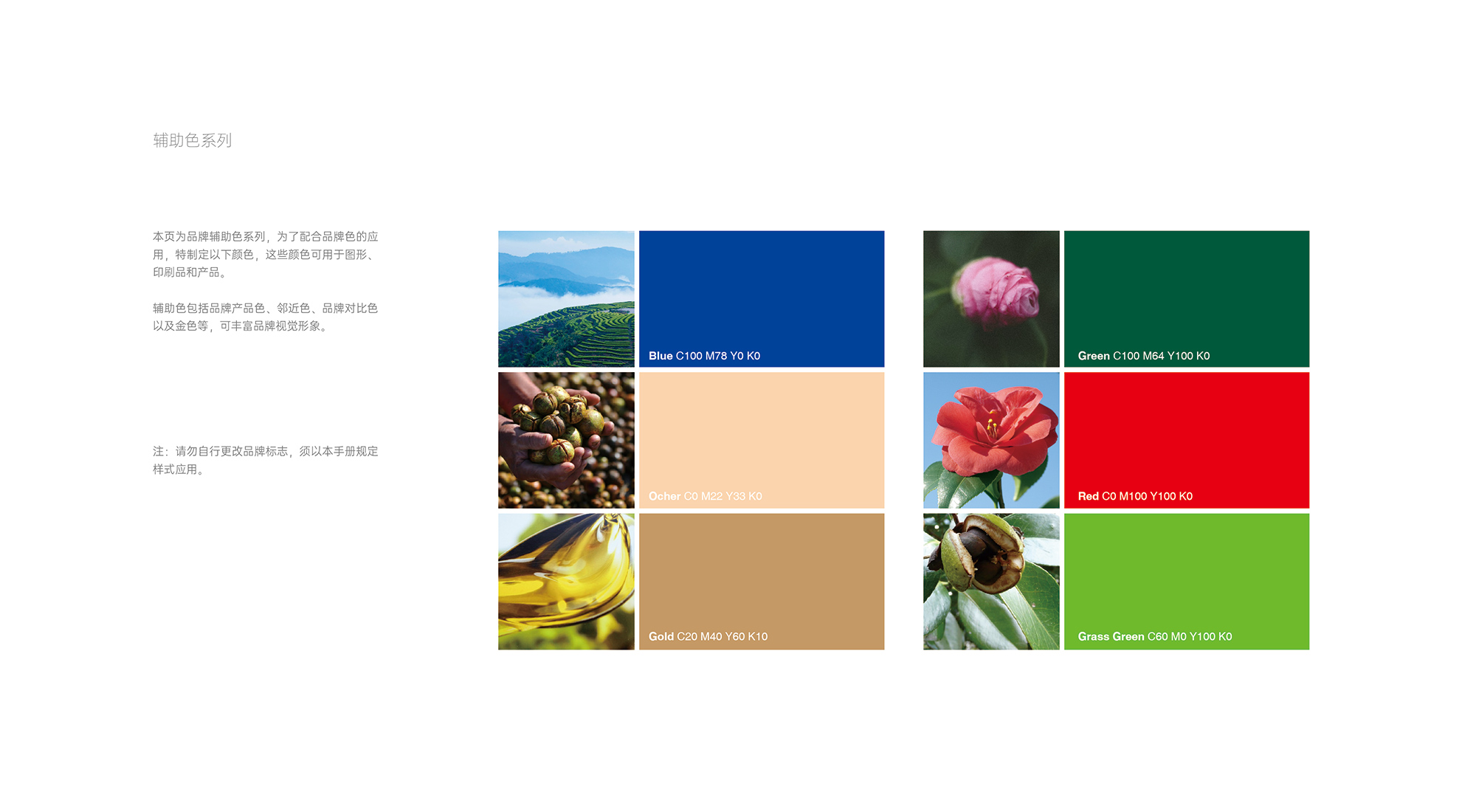 Camellia oil packaging design, camellia oil brand design，