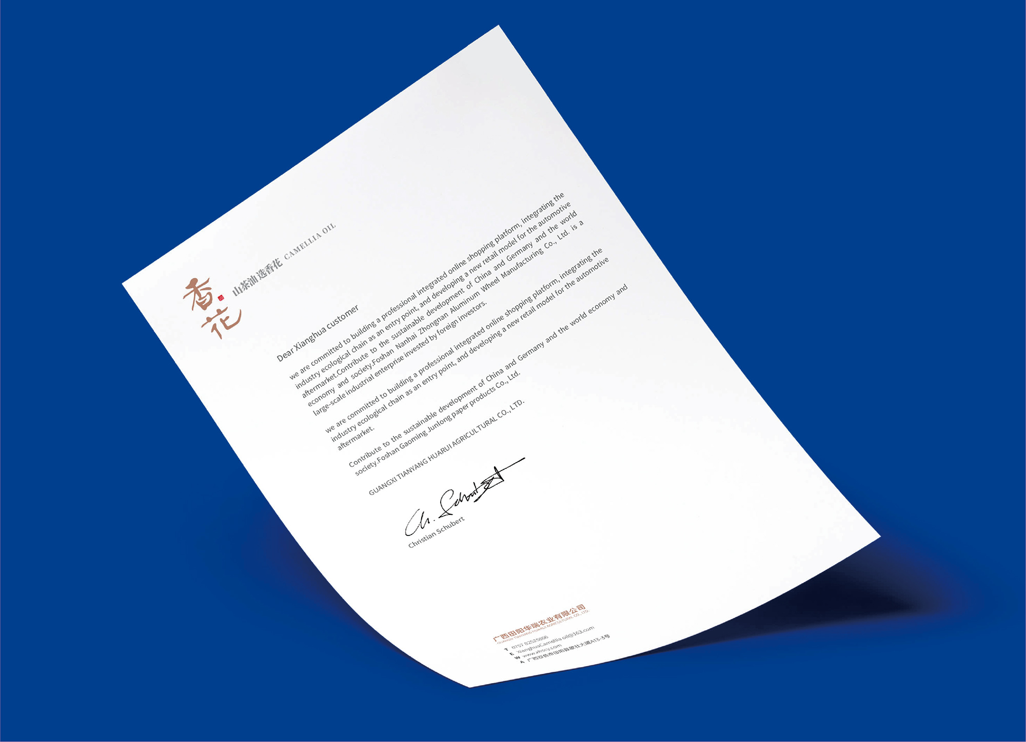 Camellia oil packaging design, camellia oil brand design，