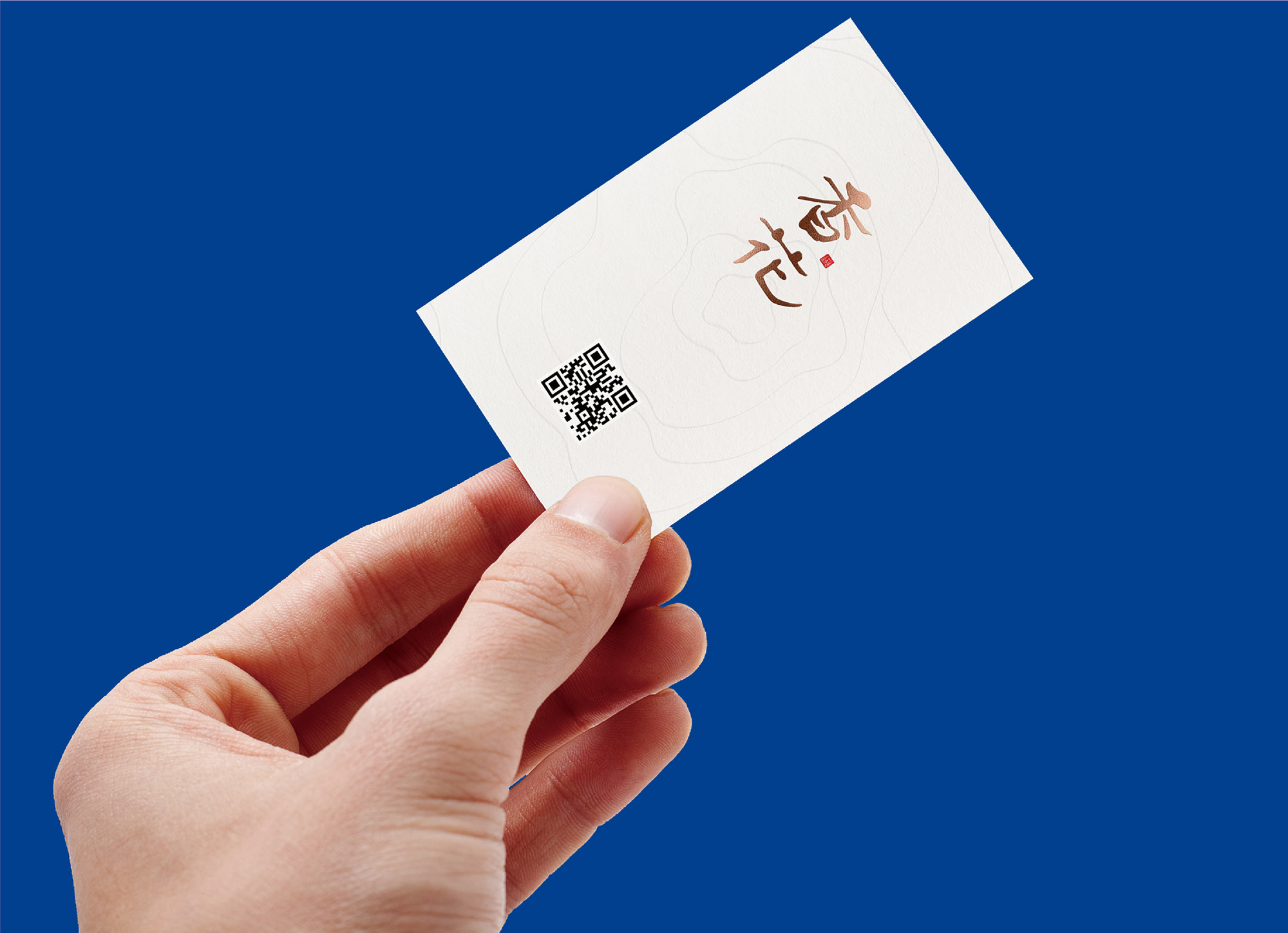 Camellia oil packaging design, camellia oil brand design，