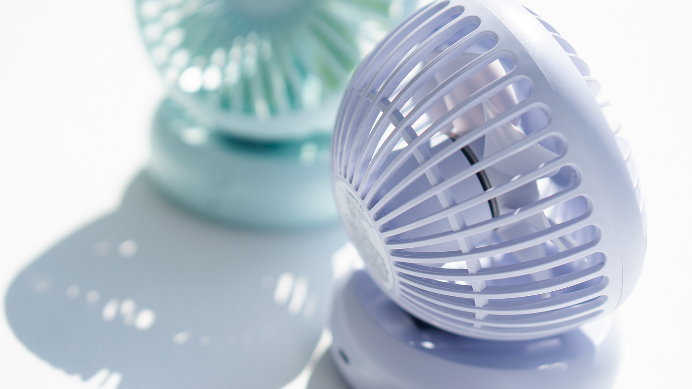 Fan，
