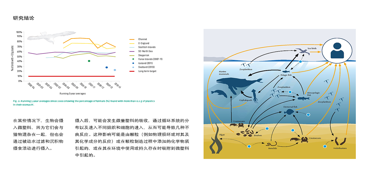 Micro plastic，Literature research，