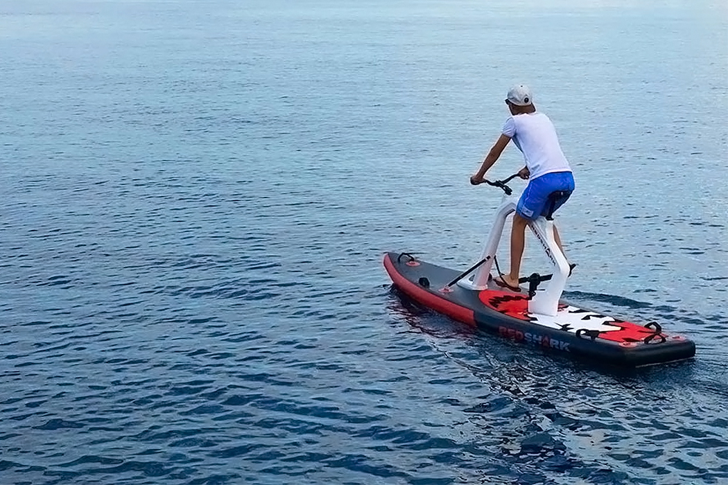 Hammacher Schlemmer，wakeboard，gules，