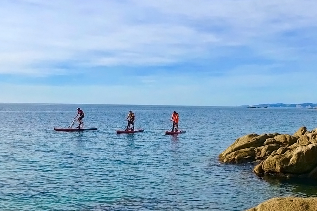 Hammacher Schlemmer，wakeboard，gules，