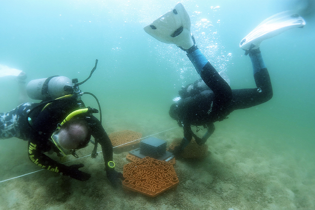 3D printing，Ceramic tile，Artificial reef，Marine ecology，Coral，