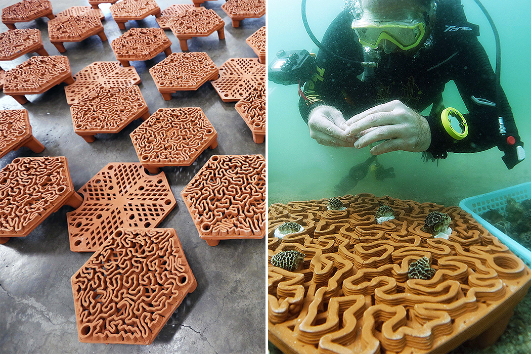 3D printing，Ceramic tile，Artificial reef，Marine ecology，Coral，