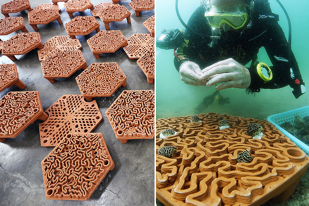 3d打印，陶土瓷砖，人造礁石，海洋生态，珊瑚，