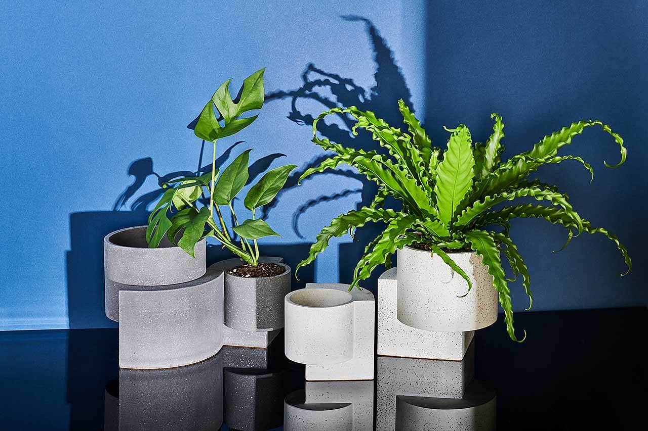gardening，Flowerpot，plant，ocean，