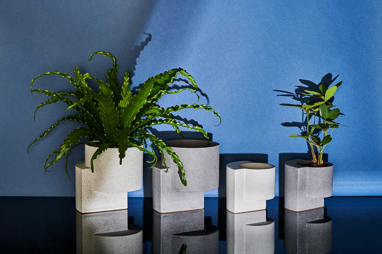 gardening，Flowerpot，plant，ocean，