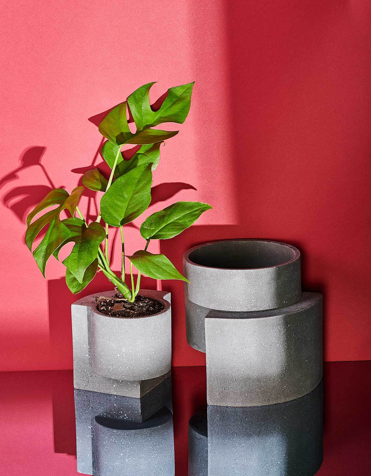 gardening，Flowerpot，plant，ocean，