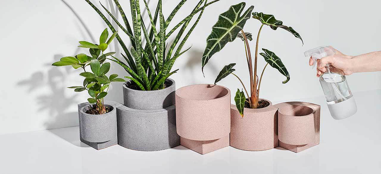gardening，Flowerpot，plant，ocean，