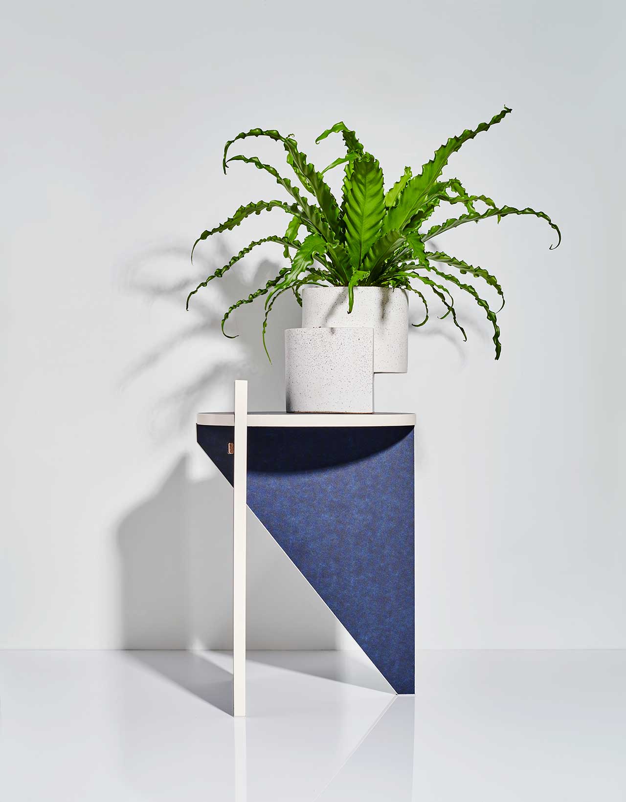 gardening，Flowerpot，plant，ocean，