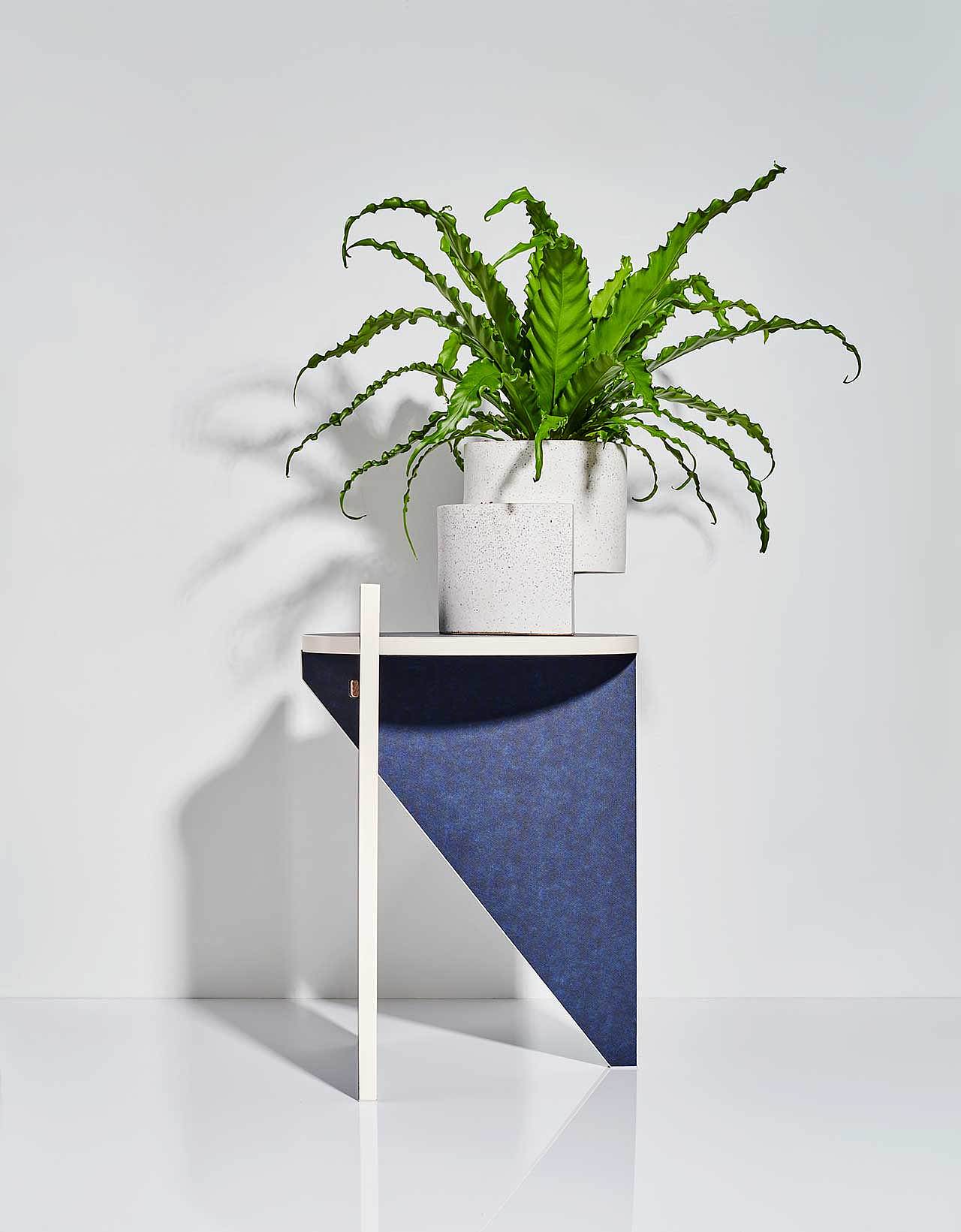 gardening，Flowerpot，plant，ocean，