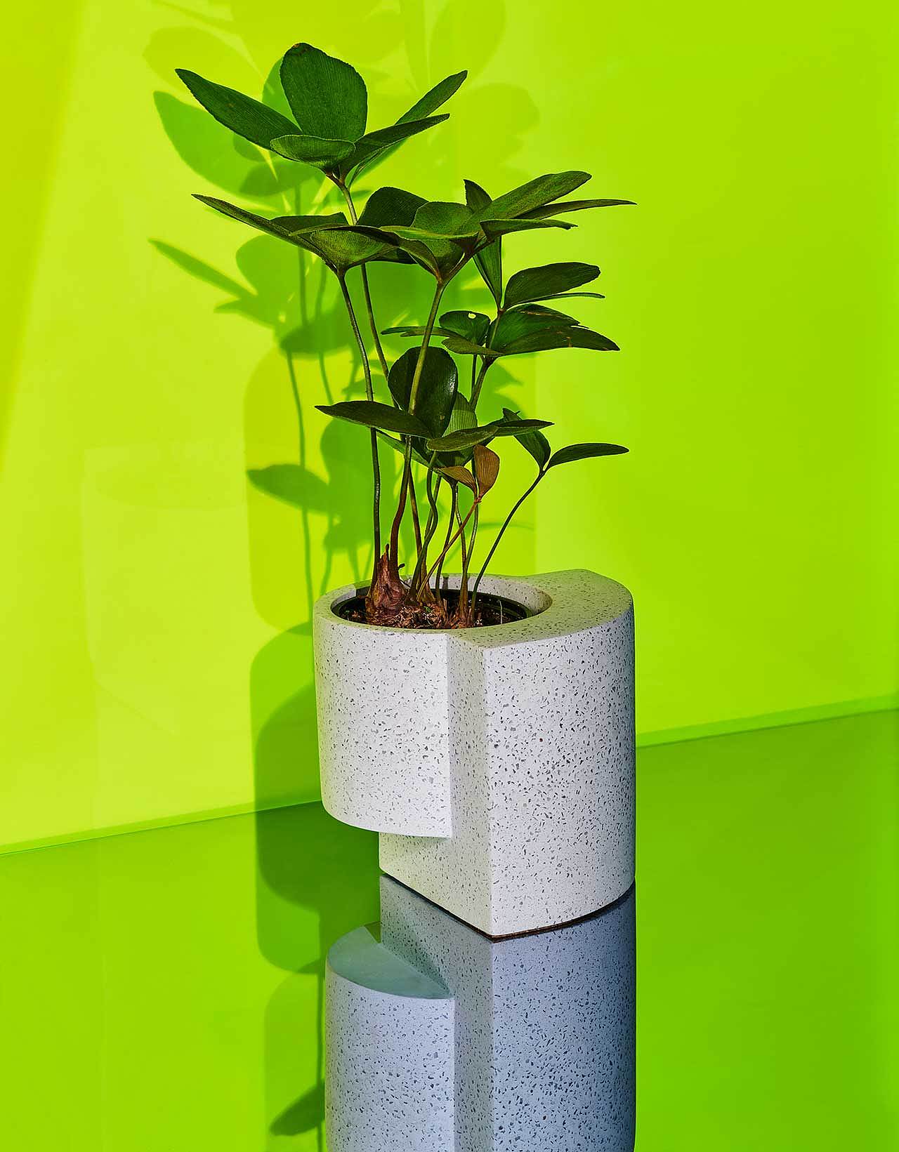 gardening，Flowerpot，plant，ocean，