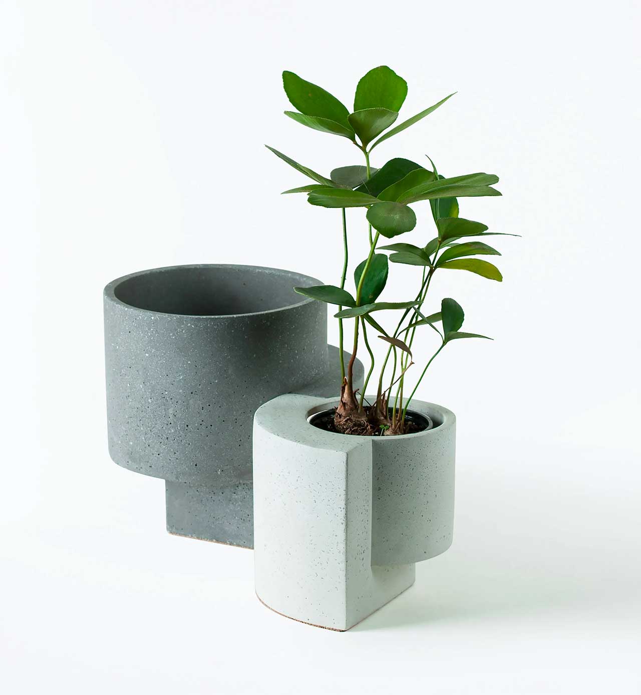 gardening，Flowerpot，plant，ocean，