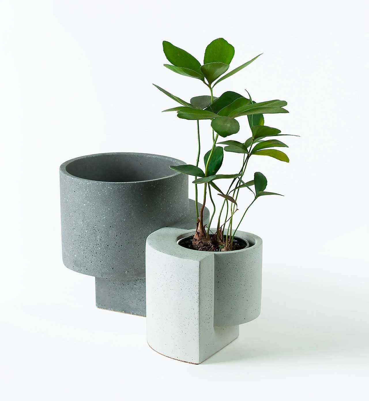 gardening，Flowerpot，plant，ocean，