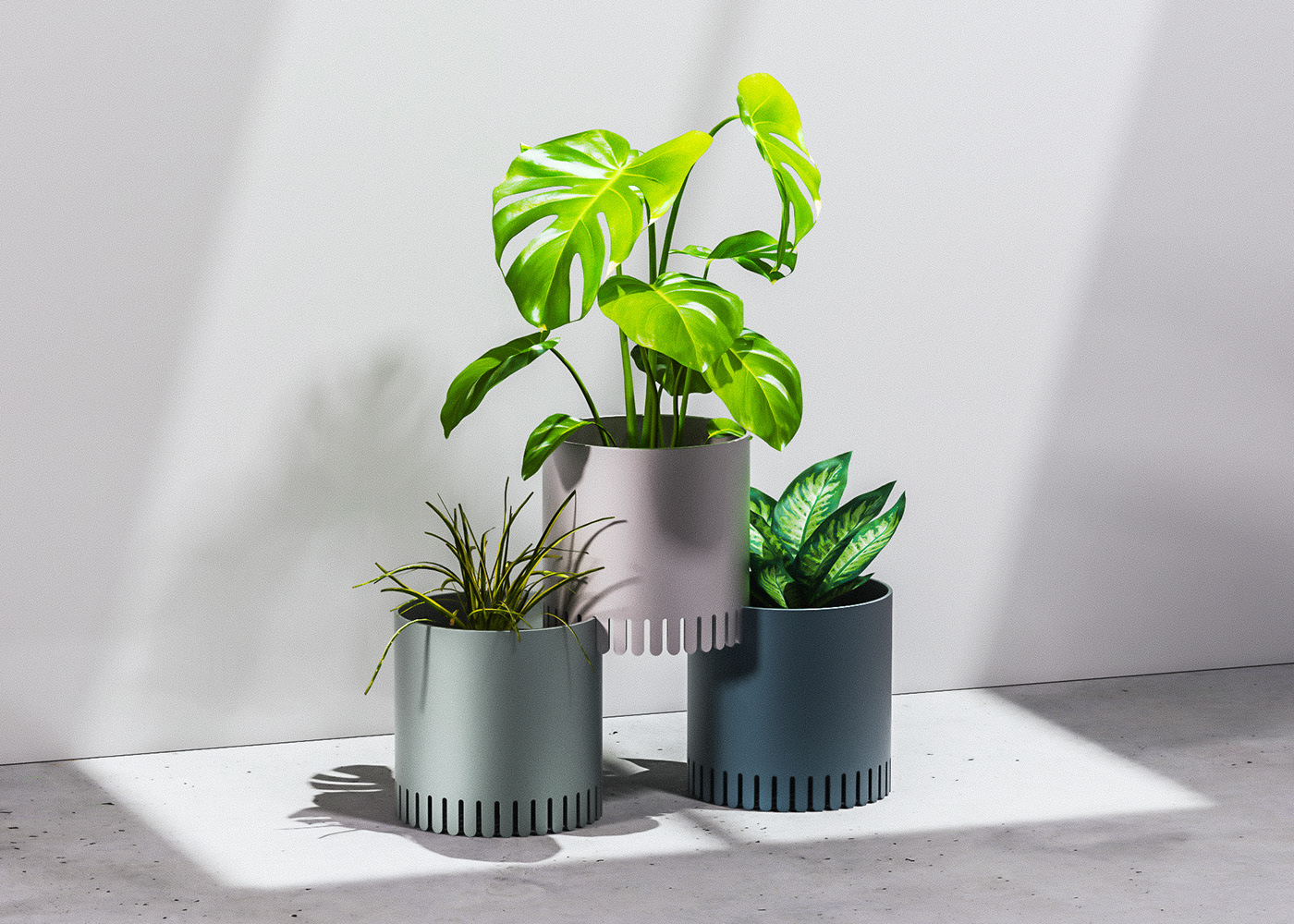 Chris Ference，elevated planters，Flowerpot，Potted plants，