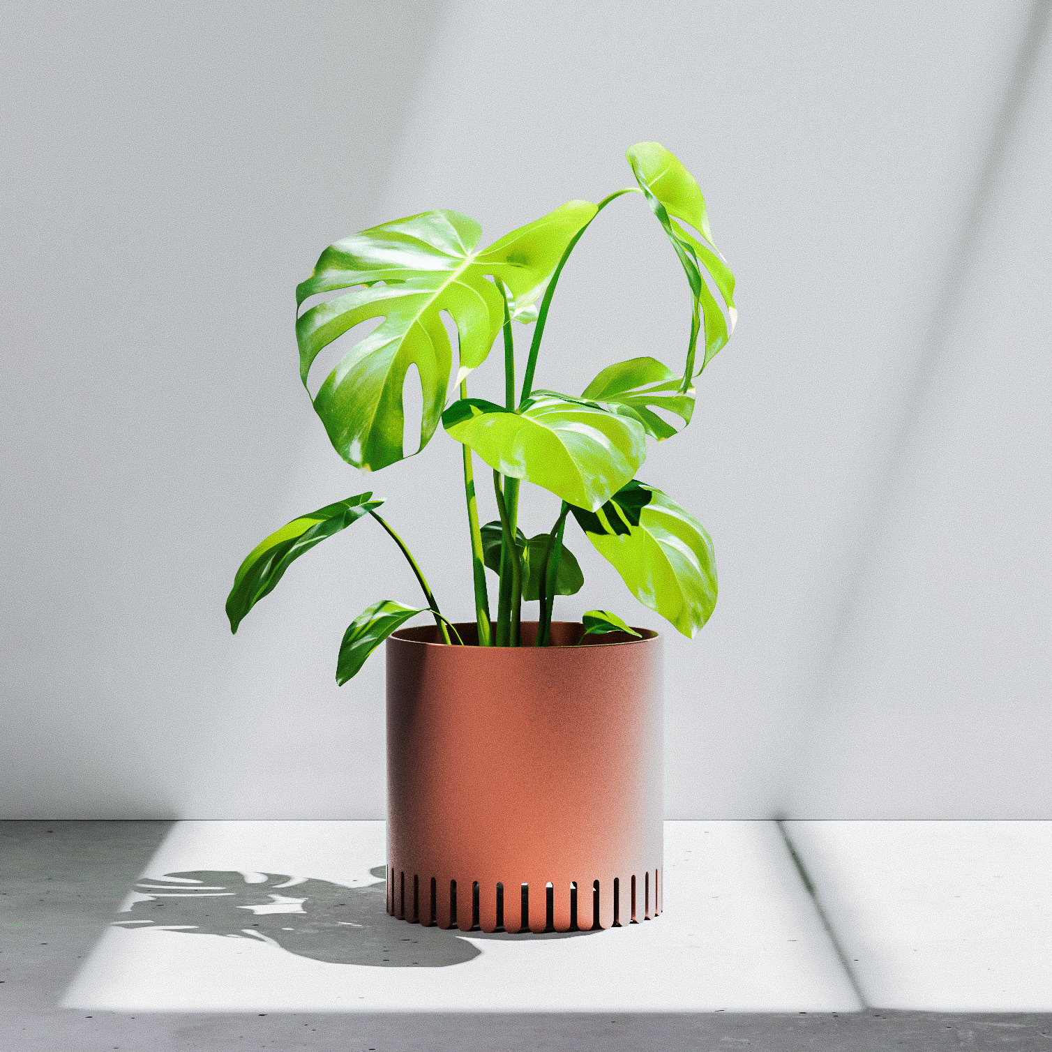 Chris Ference，elevated planters，Flowerpot，Potted plants，