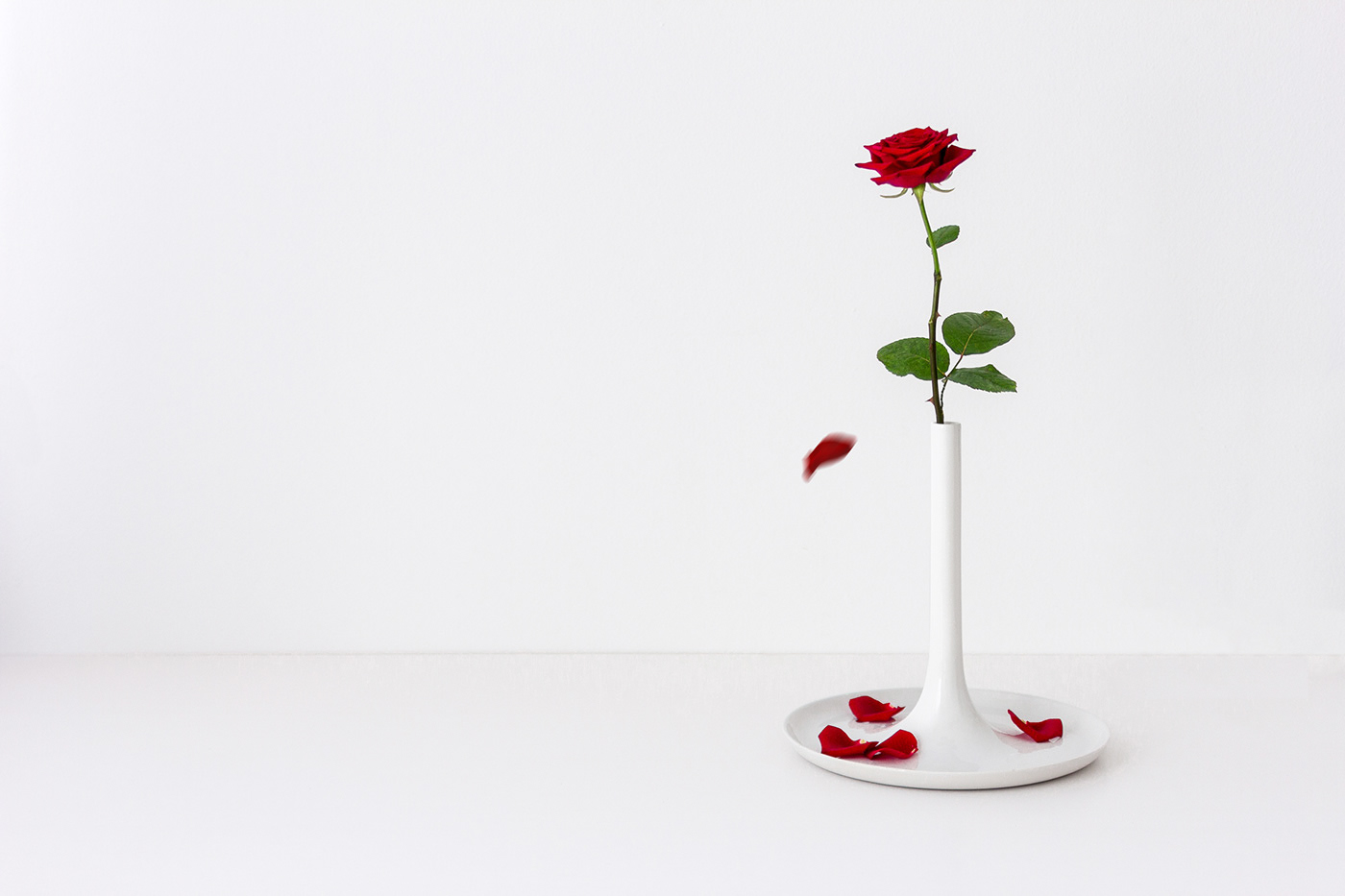 vase，petal holders，Housewear & Furnishings，Home furnishings，