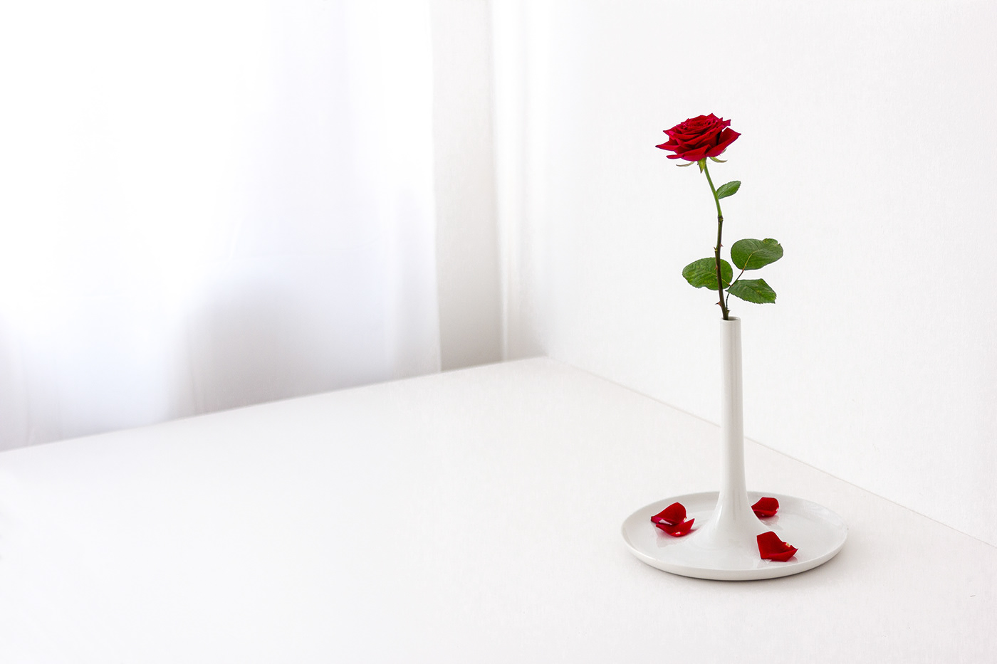 vase，petal holders，Housewear & Furnishings，Home furnishings，