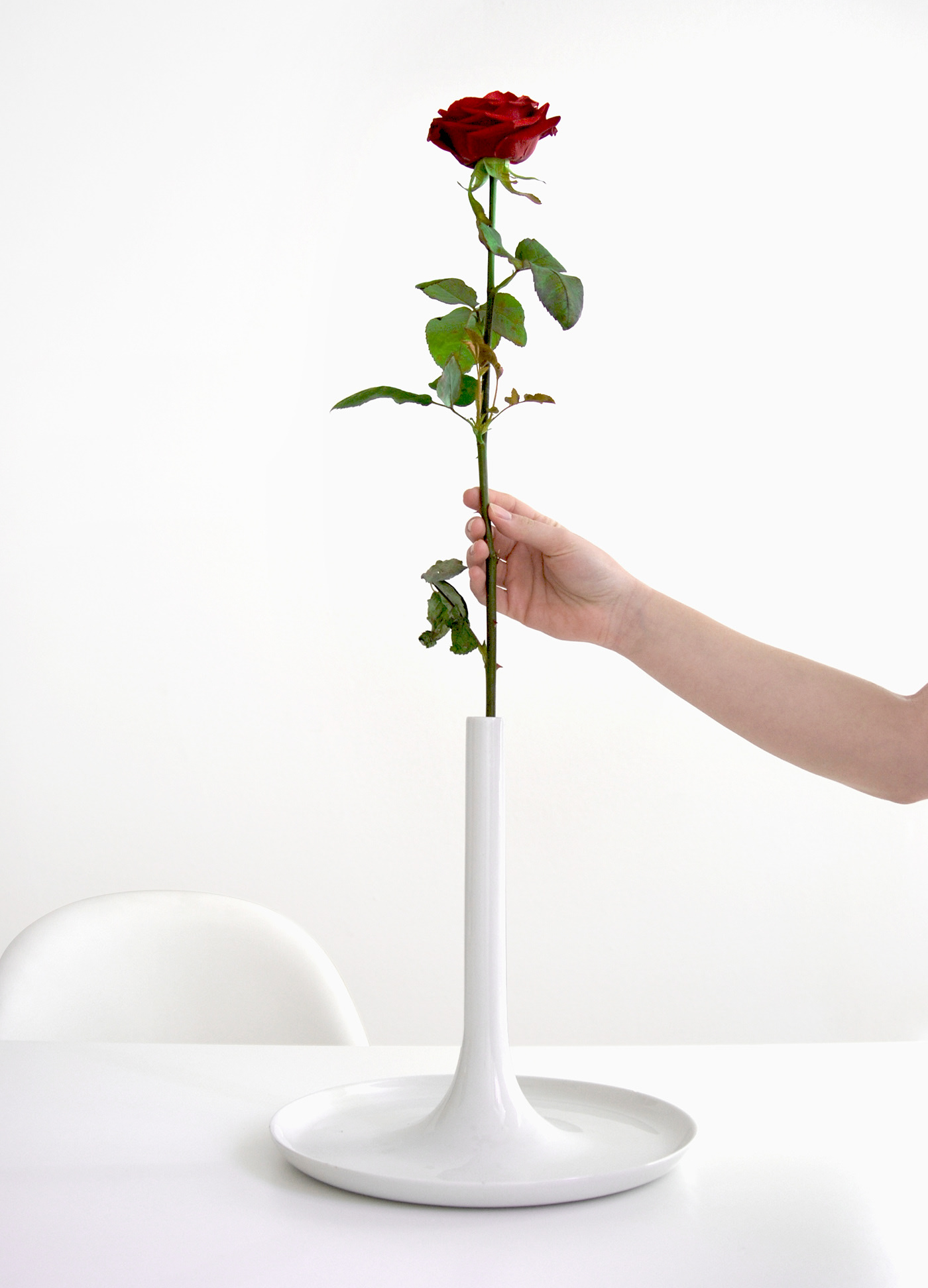 vase，petal holders，Housewear & Furnishings，Home furnishings，