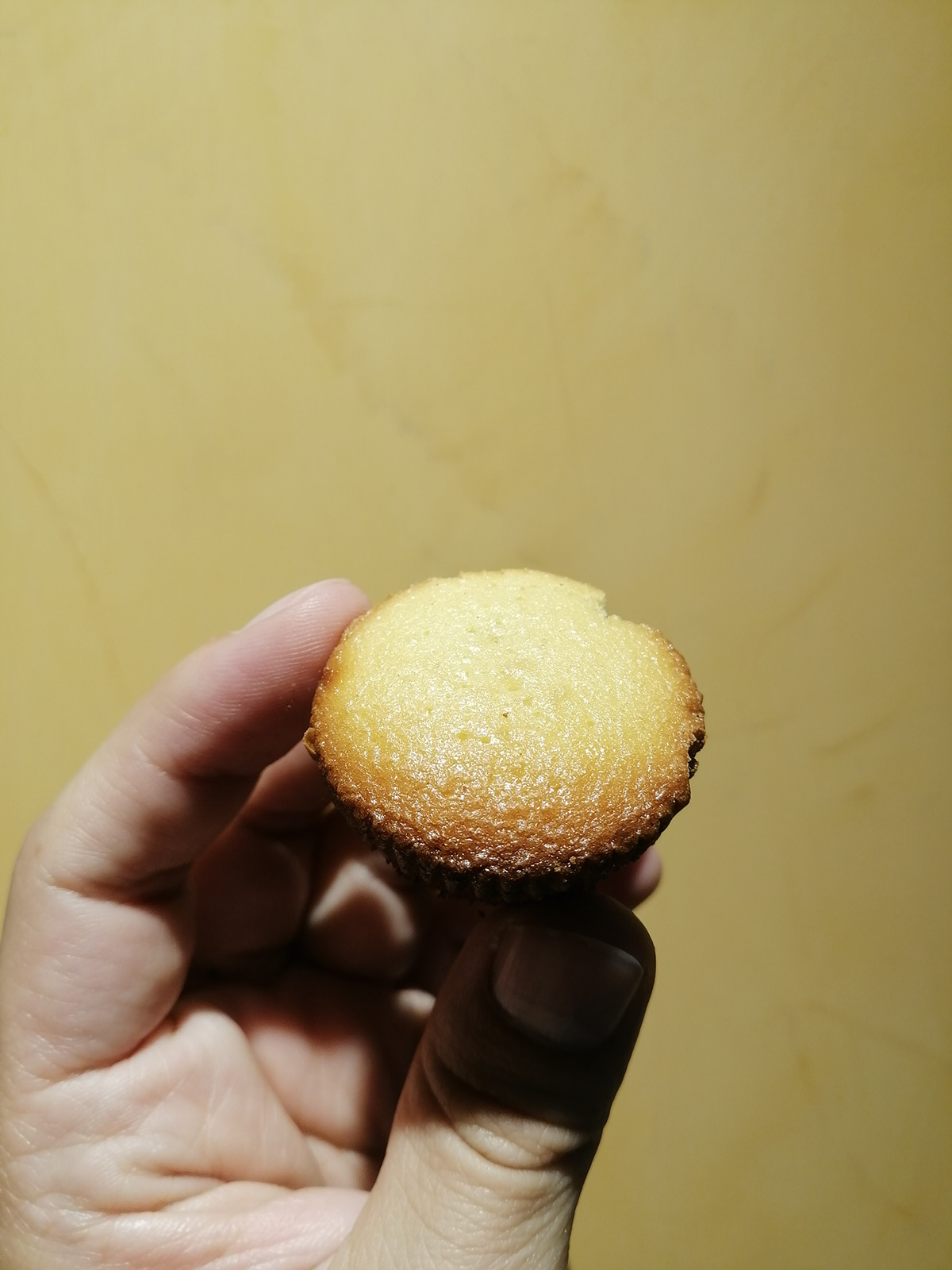 oven，Portable，Small，diet，