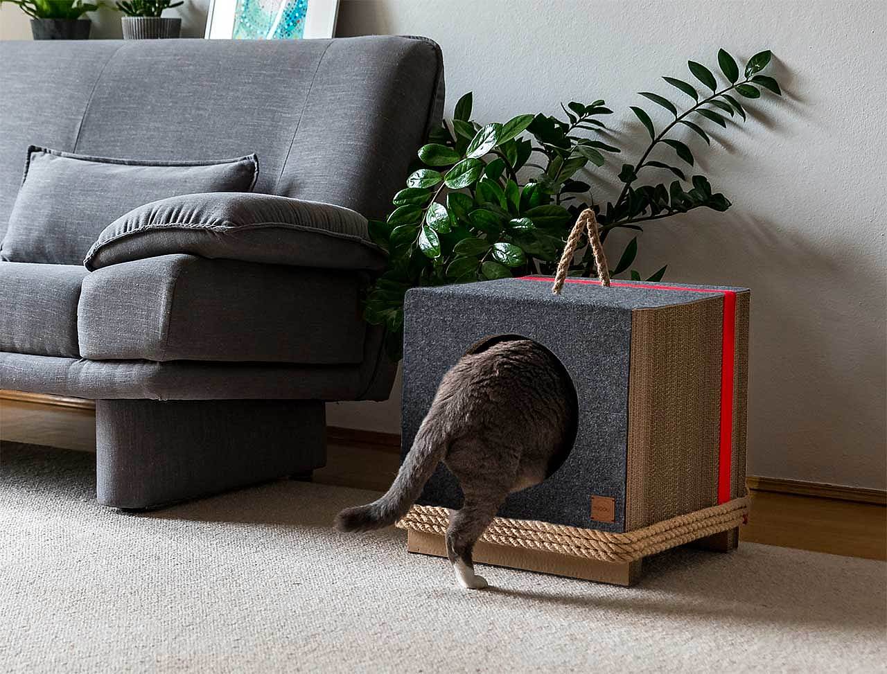 cat，Cardboard，Cat house，felt，