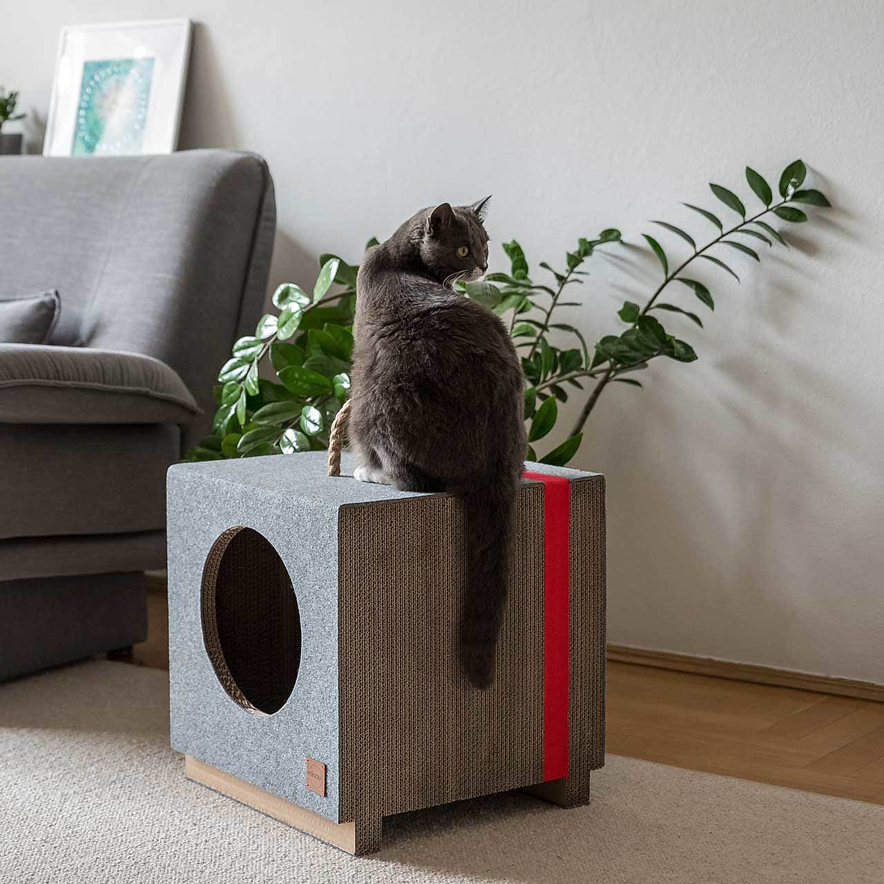 cat，Cardboard，Cat house，felt，