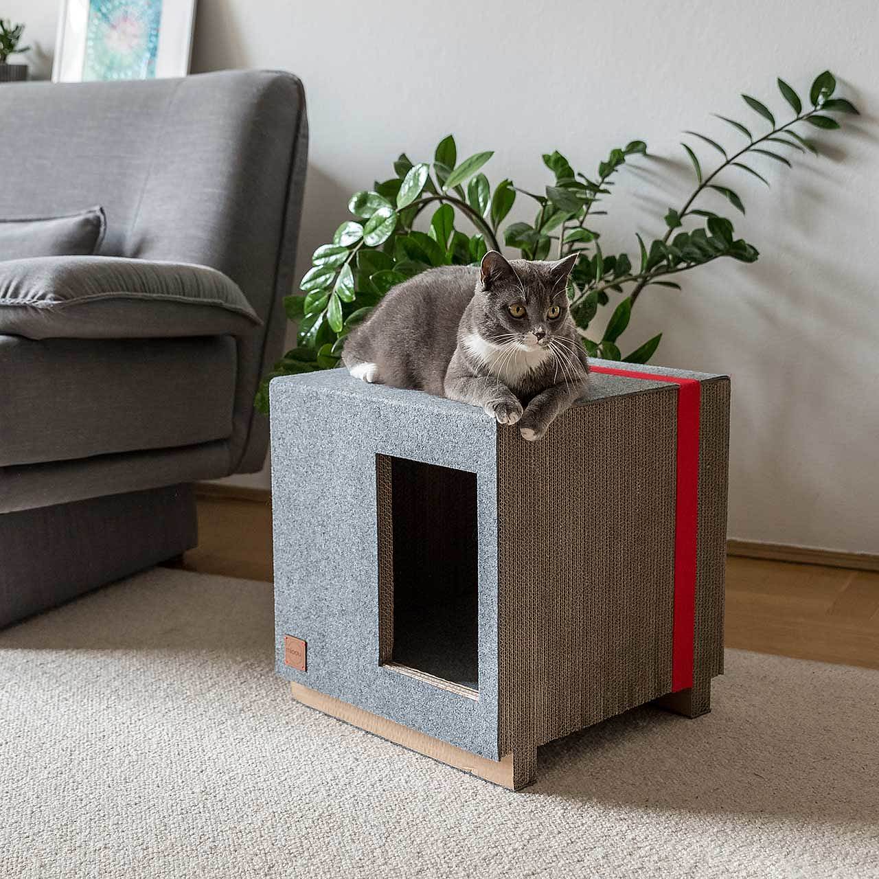 cat，Cardboard，Cat house，felt，