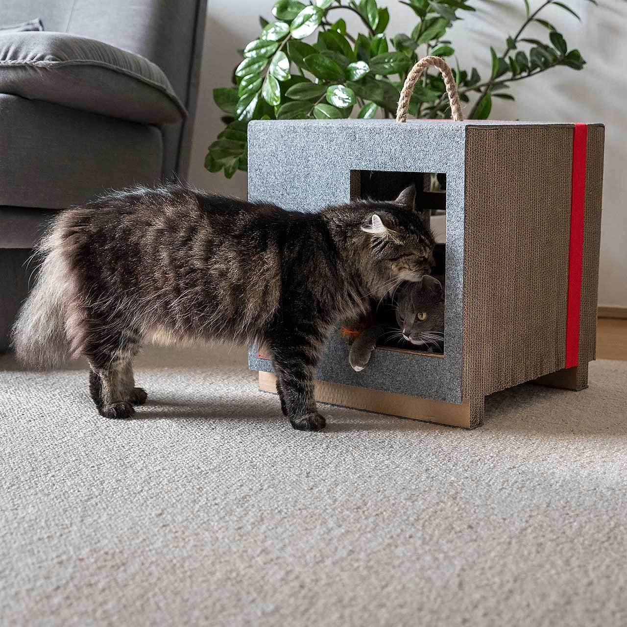 cat，Cardboard，Cat house，felt，