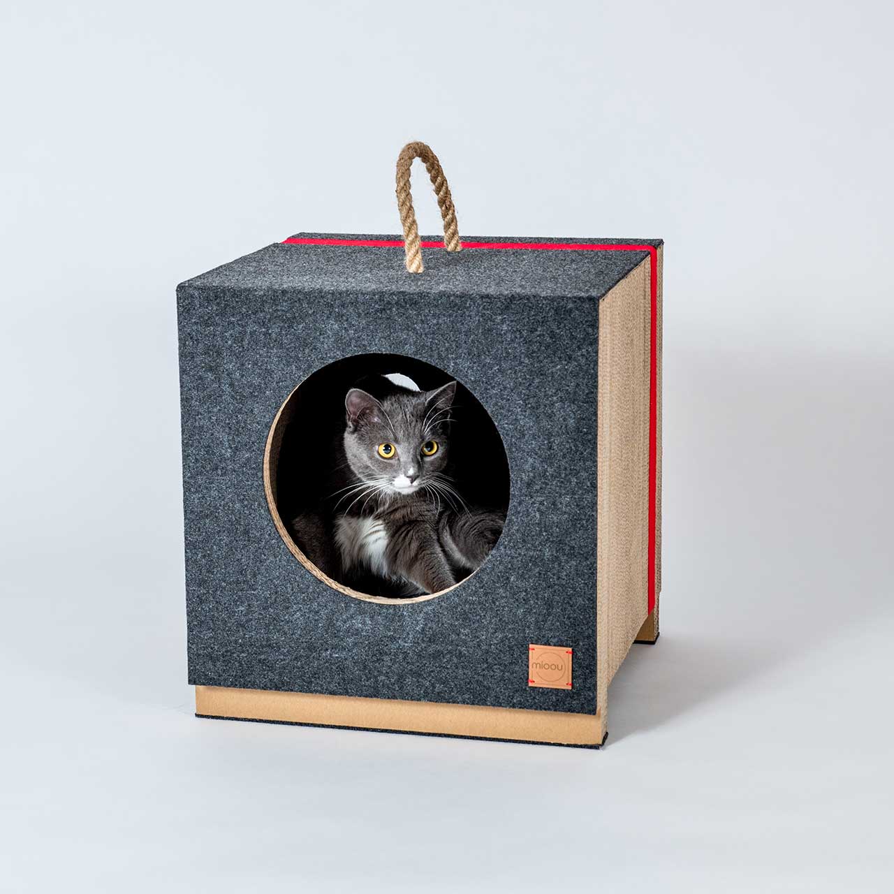 cat，Cardboard，Cat house，felt，