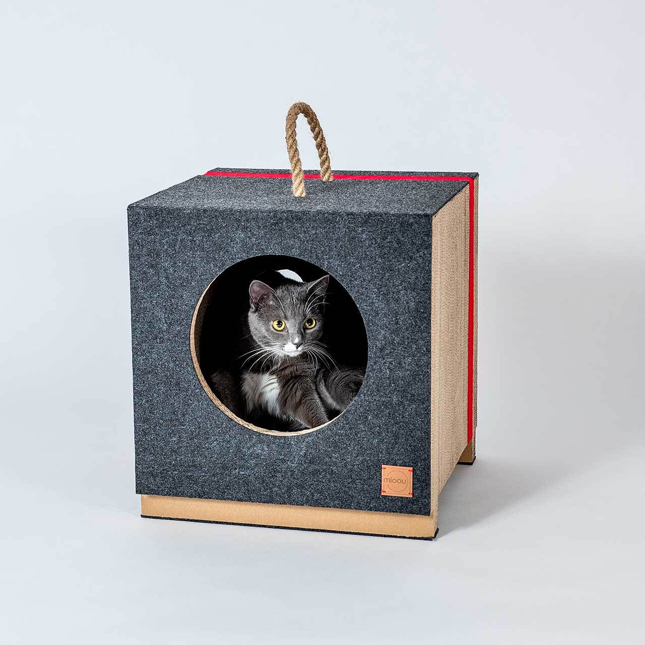 cat，Cardboard，Cat house，felt，