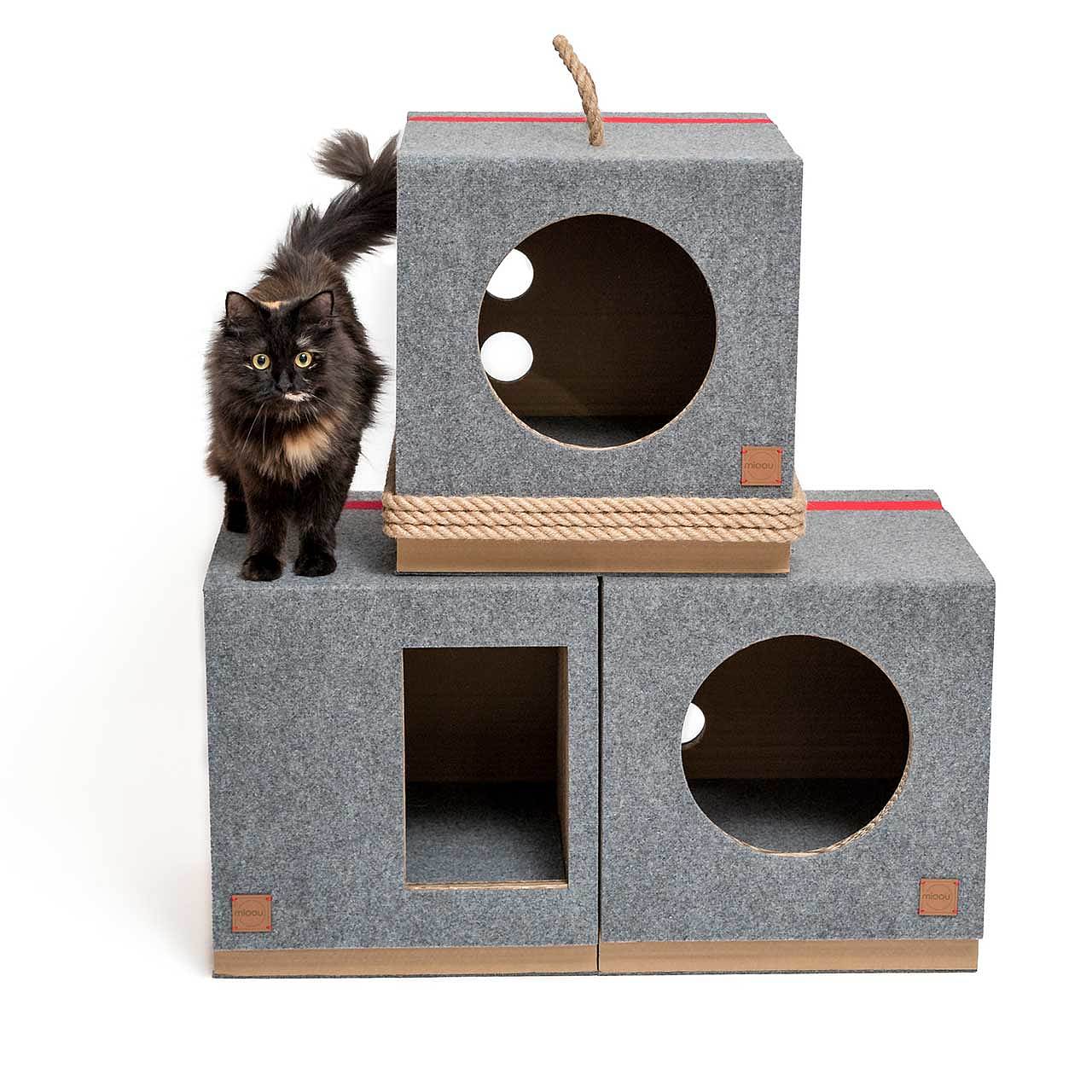 cat，Cardboard，Cat house，felt，