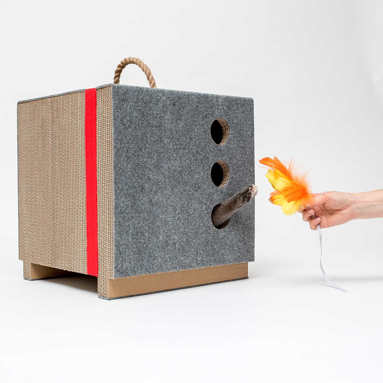 cat，Cardboard，Cat house，felt，