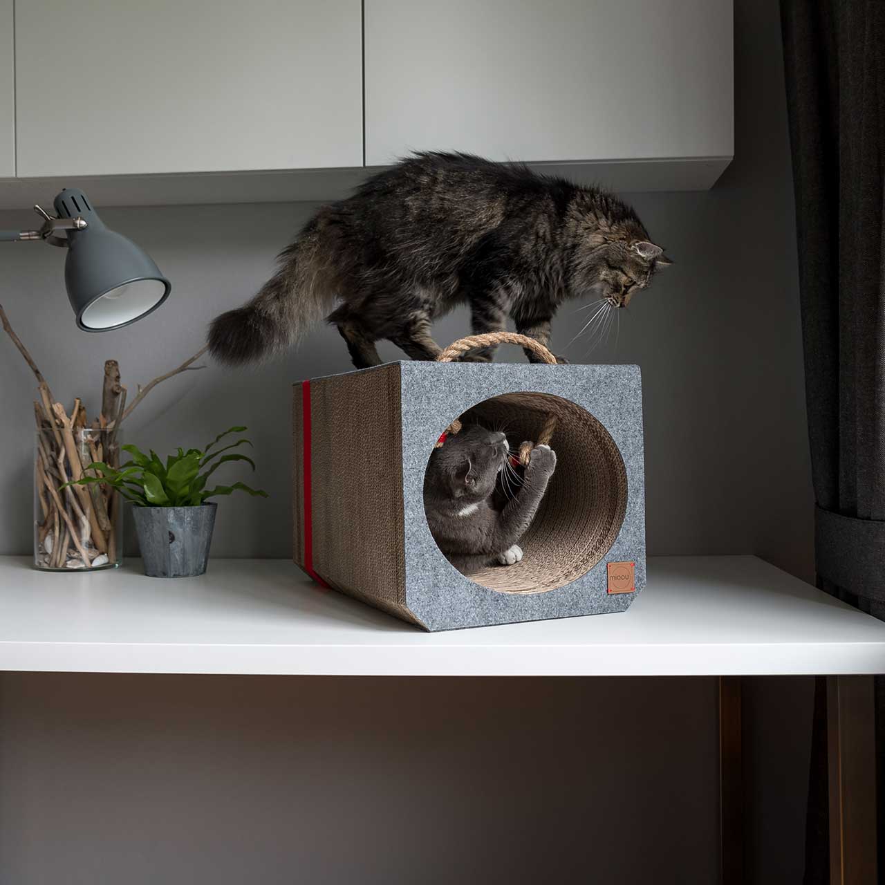 cat，Cardboard，Cat house，felt，