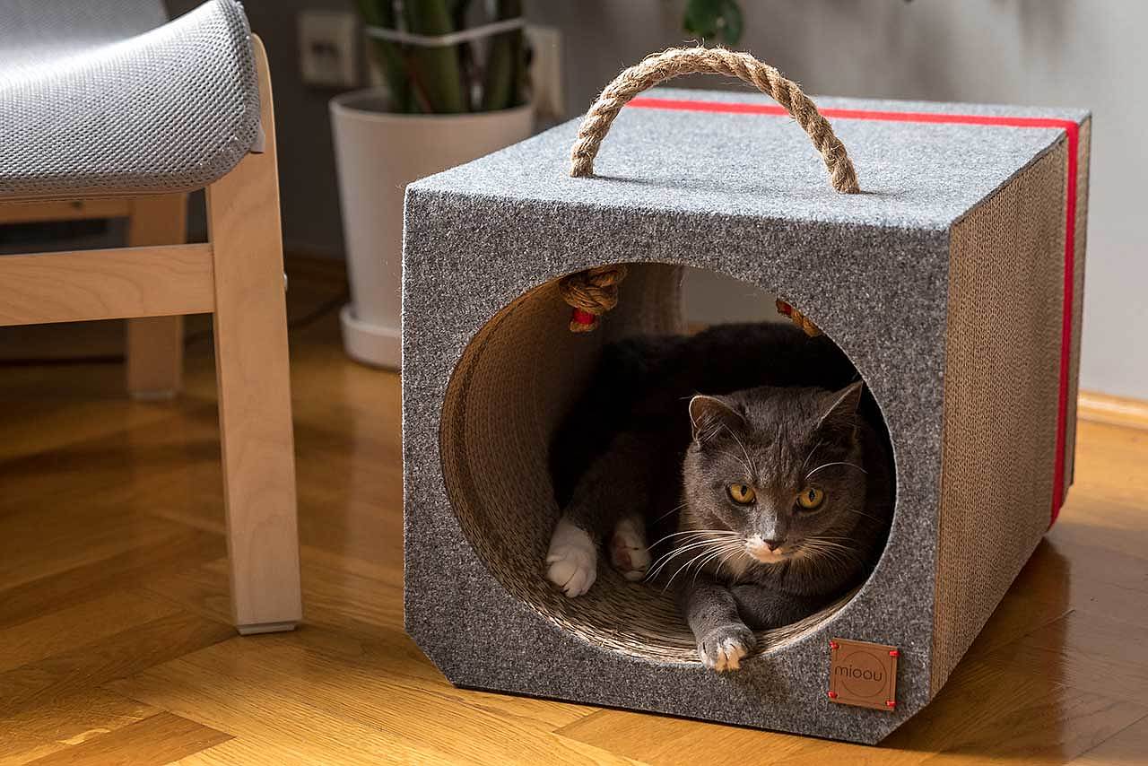 cat，Cardboard，Cat house，felt，