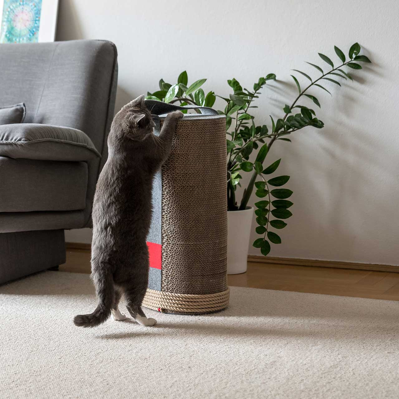 cat，Cardboard，Cat house，felt，