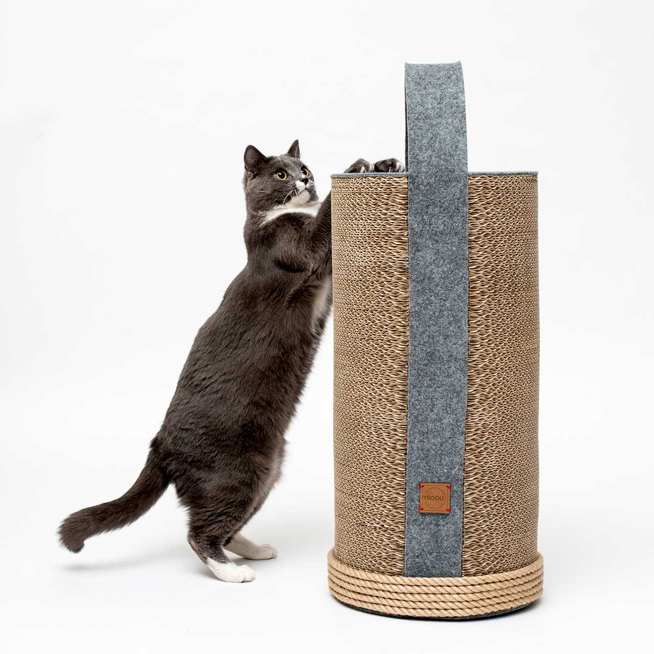 cat，Cardboard，Cat house，felt，