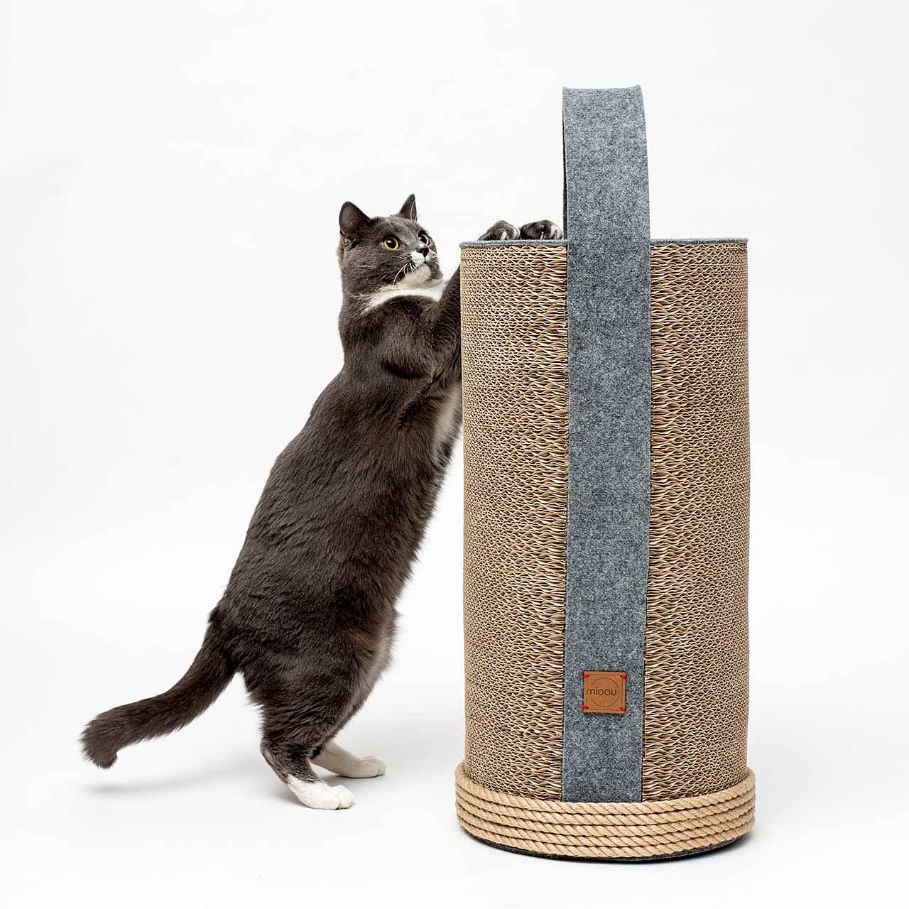 cat，Cardboard，Cat house，felt，