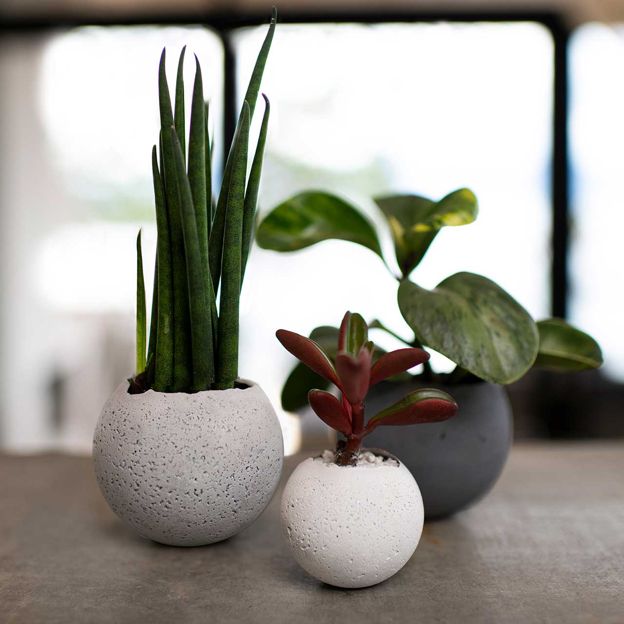 CONZUK，Housewear & Furnishings，Home furnishings，Concrete material，