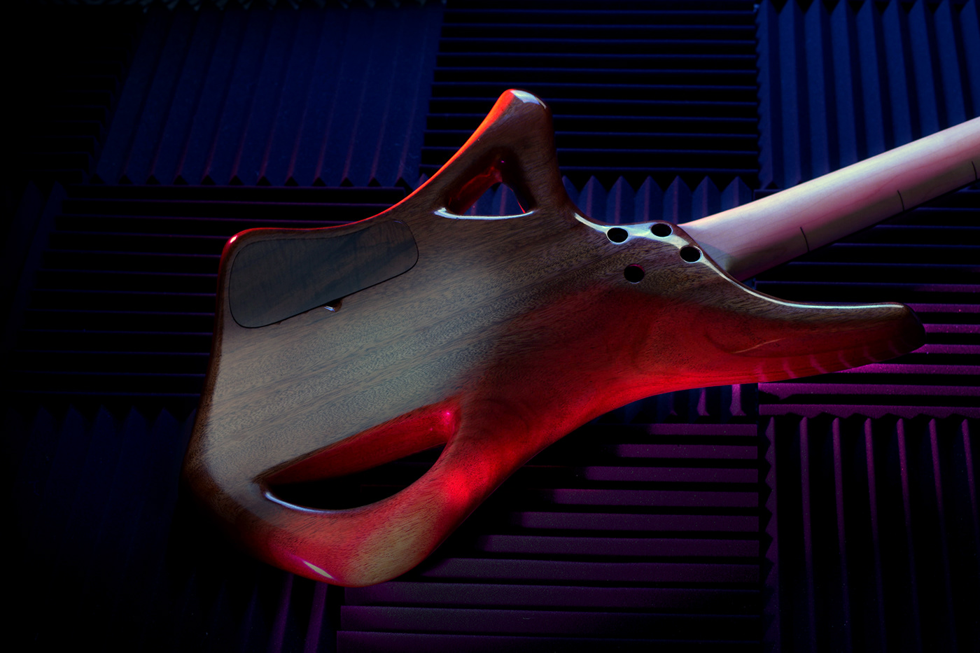 ellobassguitar舒适轻巧的电吉他为热爱音乐的你而准备