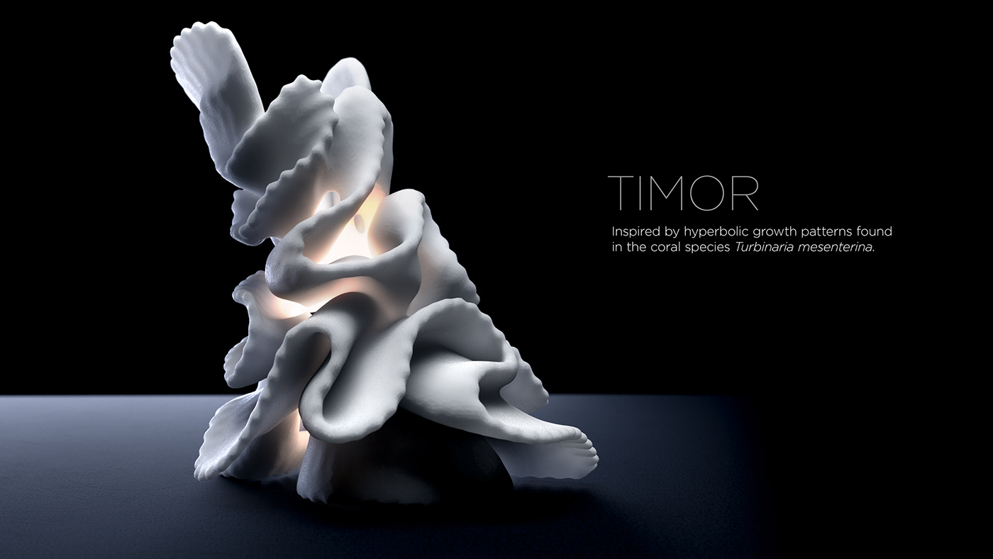 lighting，Coral，ocean，3D printing，Art，