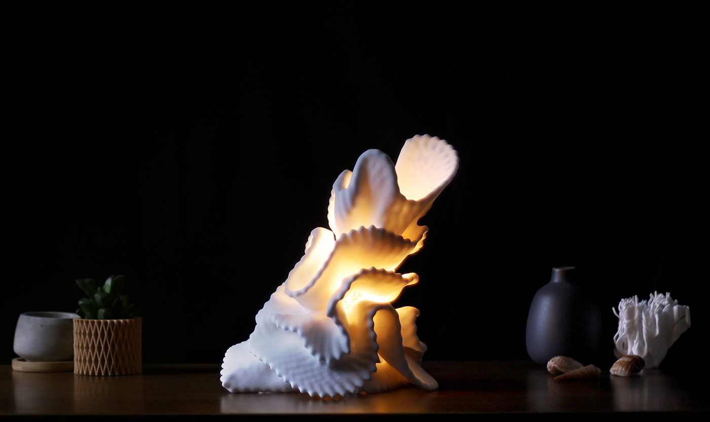 lighting，Coral，ocean，3D printing，Art，