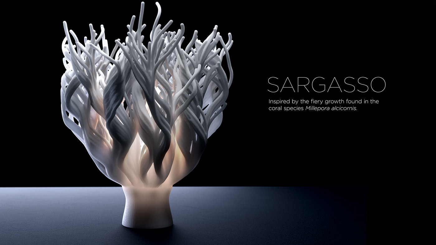 lighting，Coral，ocean，3D printing，Art，